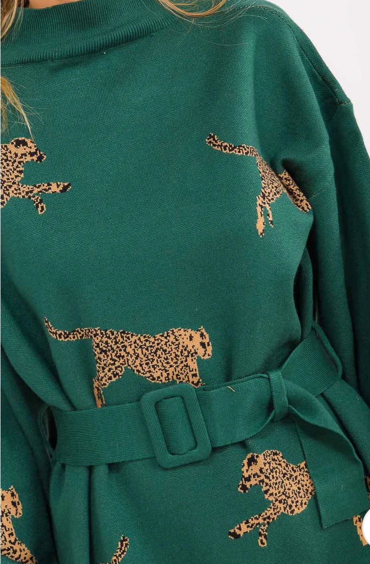 Animal print belted sweater dress