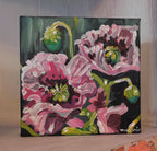 Pink poppy painting