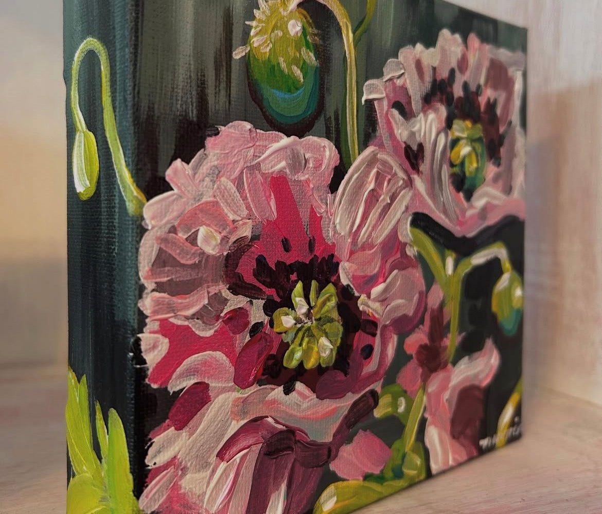 Pink poppy painting