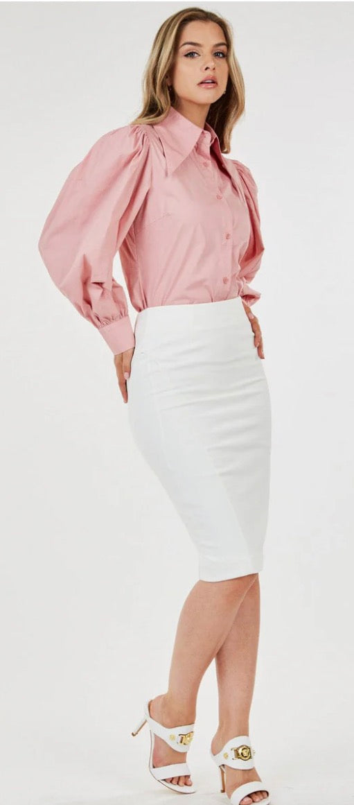 Gold Zip Pencil Skirt