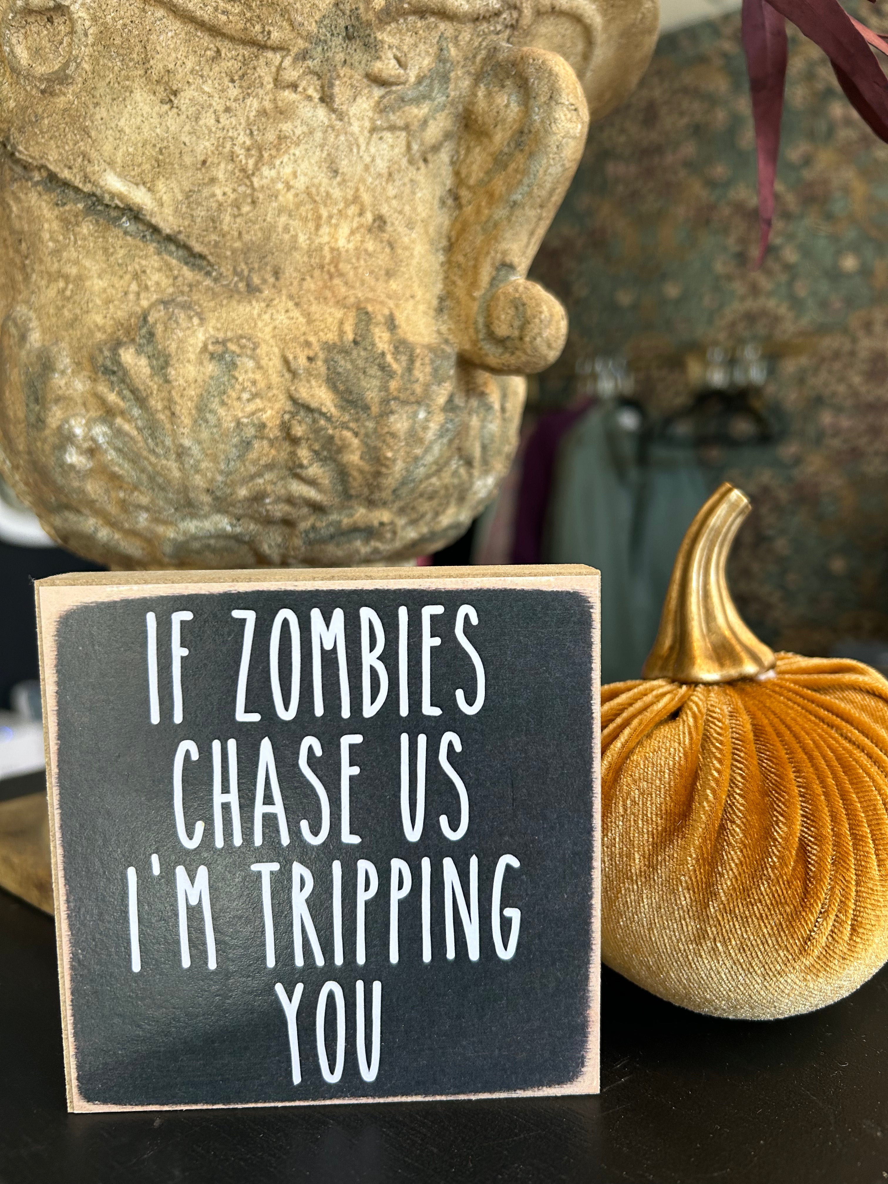If zombies chase us im tripping you sign